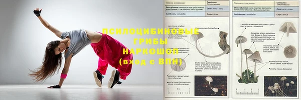 дживик Лабытнанги