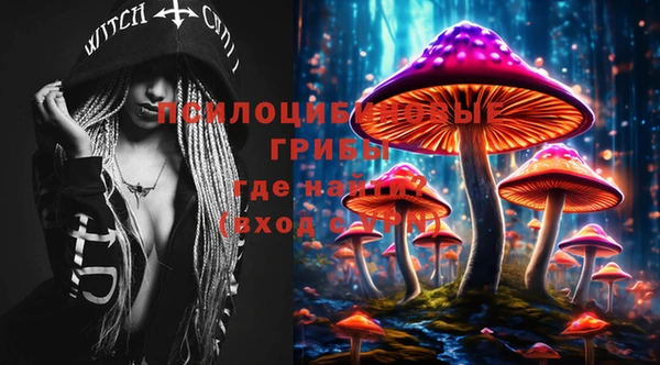 марки lsd Липки