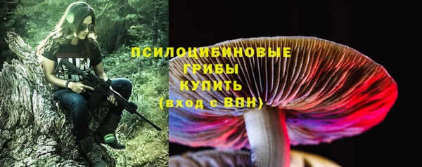 дживик Лабытнанги