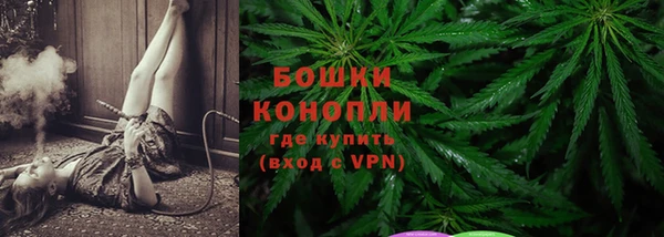 соль ск Ладушкин