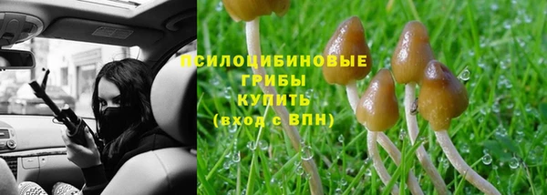 дживик Лабытнанги
