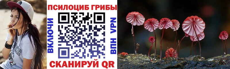 Галлюциногенные грибы GOLDEN TEACHER  omg ССЫЛКА  Малмыж  наркошоп 